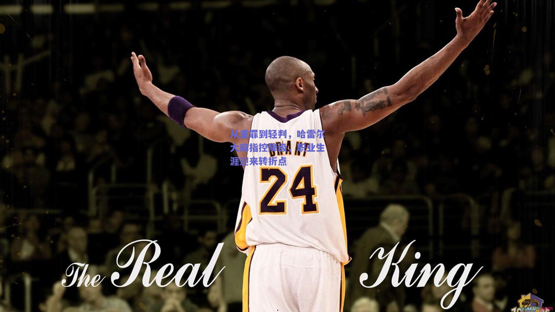 从重罪到轻判,哈雷尔大麻指控降级,职业生涯迎来转折点